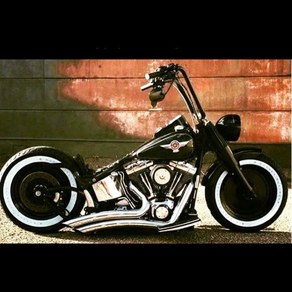 Meet your Posher, Paul - Picture 2 of 2